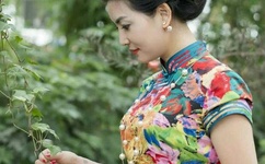 济南时报在线阅读